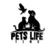 cropped channels4 profile 1.webp